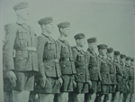 Landdienst Pin